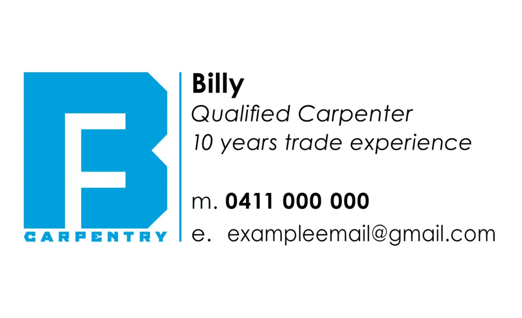 professional business cards with vector logo