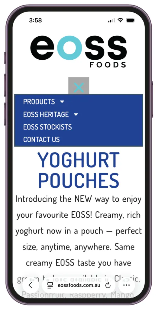 mobile website responsive view